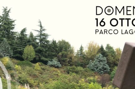 16 ottobre // una domenica @Parco Lago Nord